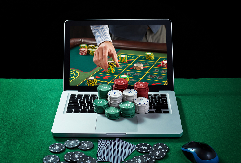 Skillmine |top casino information resource