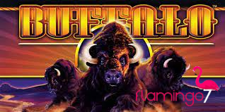 Introduction to Buffalo Slot