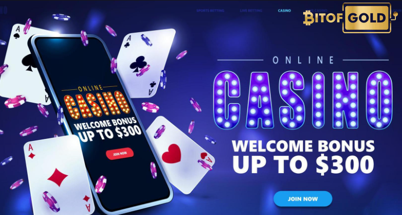 Experience the Excitement with VBLink!