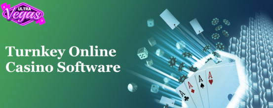 Casino Software Solutions Provider 2024