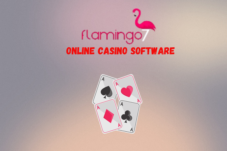 Online Casino Software 2024: Hidden Treasures